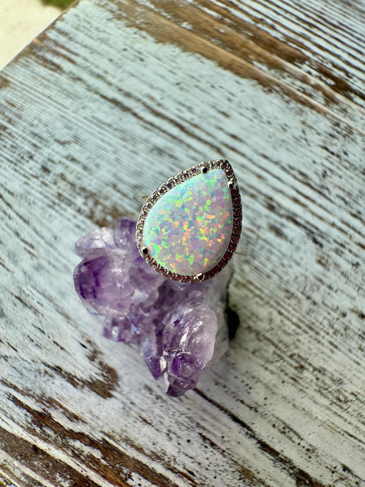 Iris